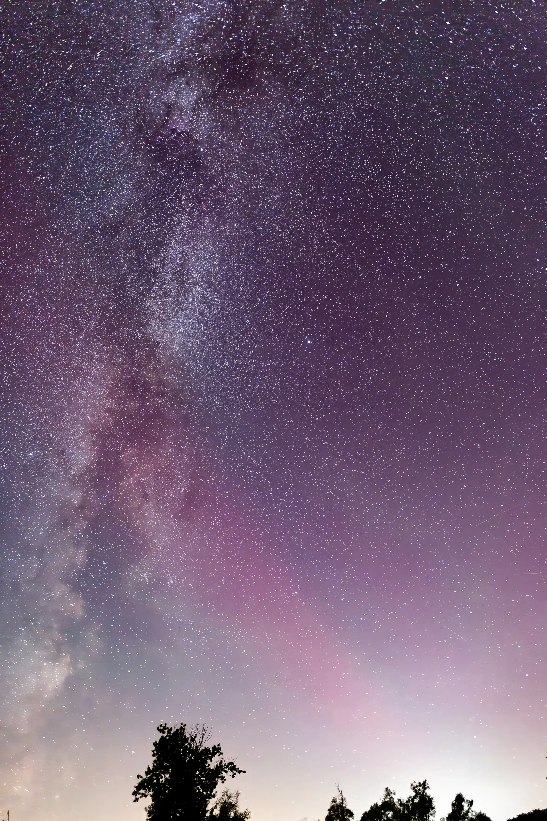 Nature & Wildlife - Image 8